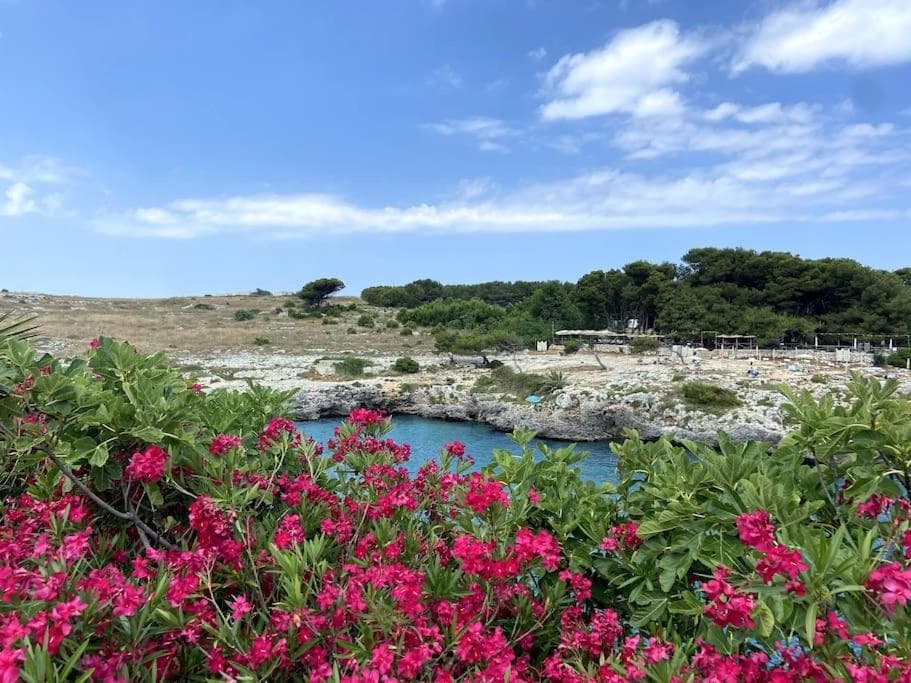 Porto Badisco